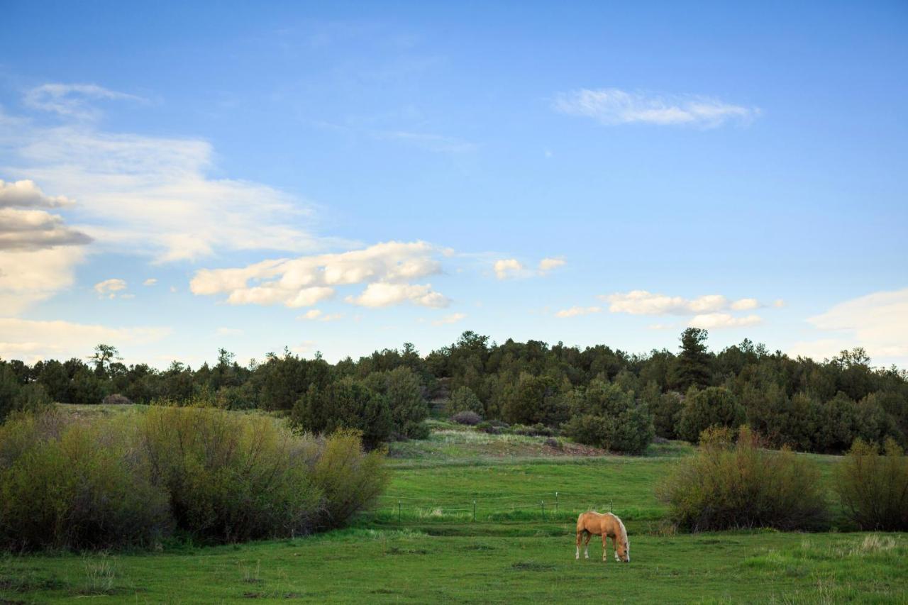 Colorado Hillside
